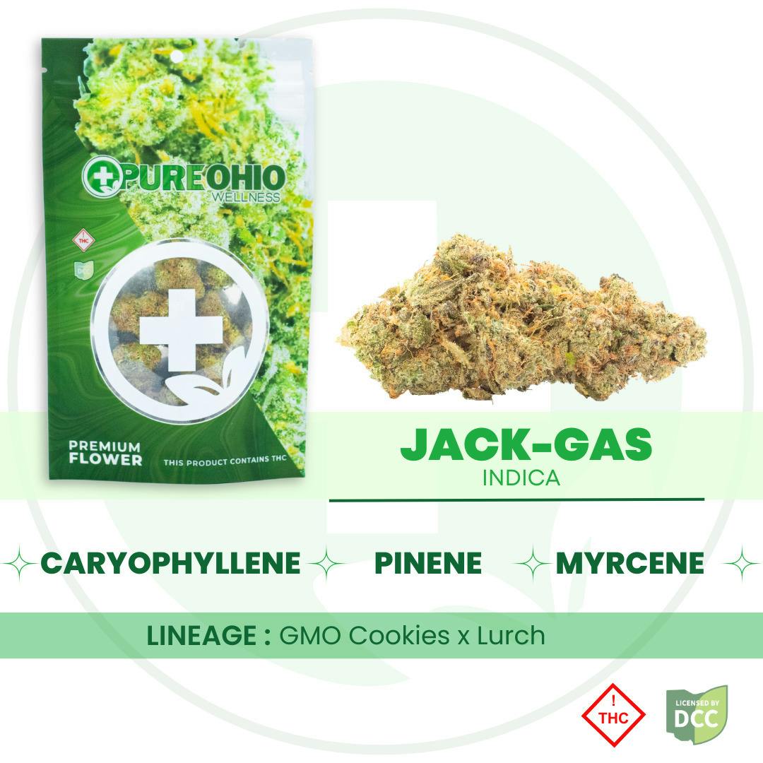 Jack-Gas (Indica) - 1