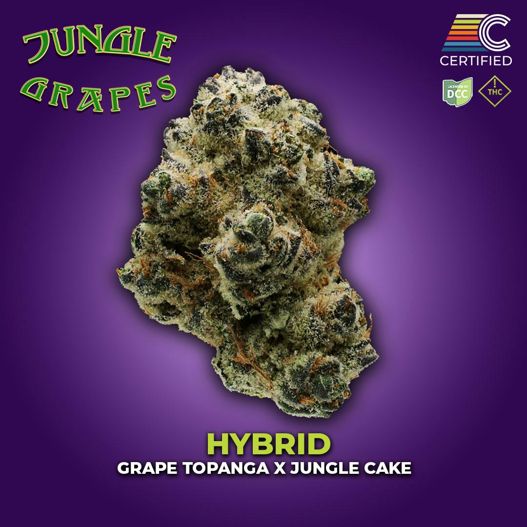 Jungle Grapes (Hybrid)