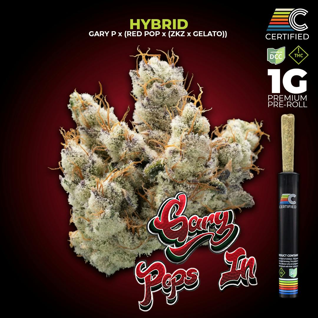Gary Pops (Hybrid) - Pre Roll - 1g - 1pk