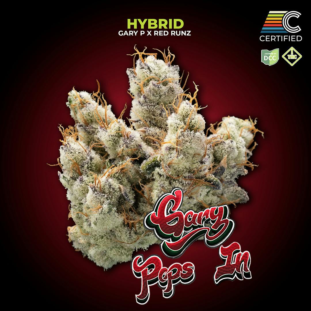 Gary Pops In (Hybrid)