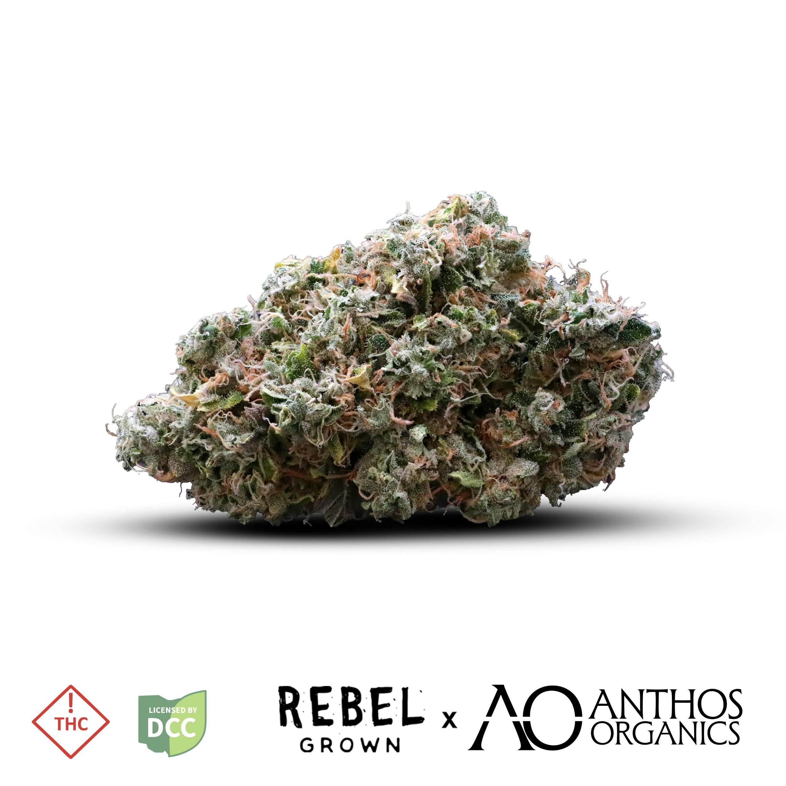 Rebel | Double OG CHM | 5.66g Juniors