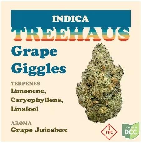 Treehaus Grape Giggles 2.83g Flower Indica