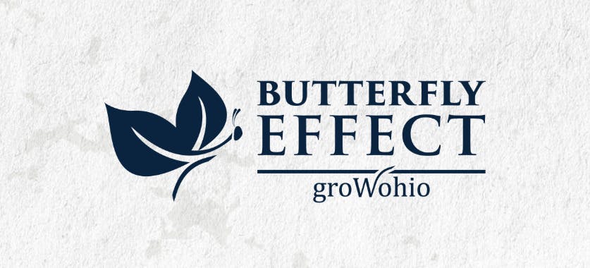 Huckleberry CBN Gummies 110mg 10pk