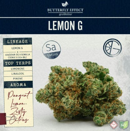 Butterfly Effect Lemon G 3.5g Sativa Flower at Nectar