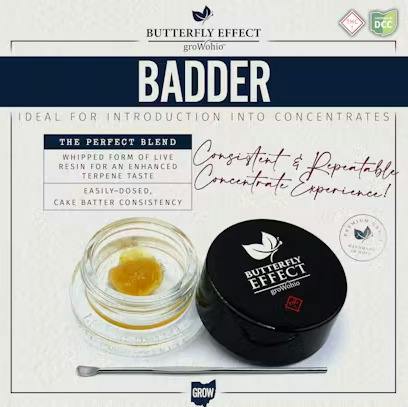 Butterfly Effect Super Lemon Haze Sol 1G Badder