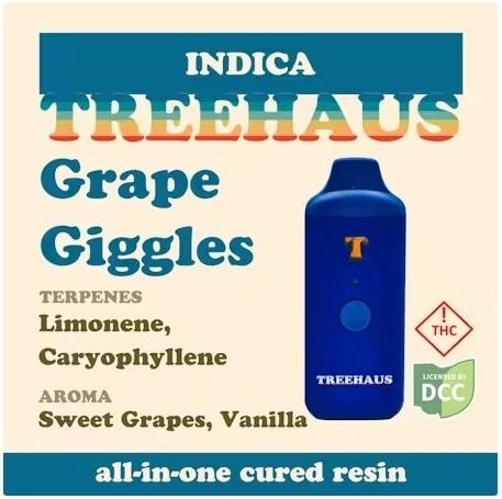 Treehaus Grape Giggles AIO 1G CR Indica