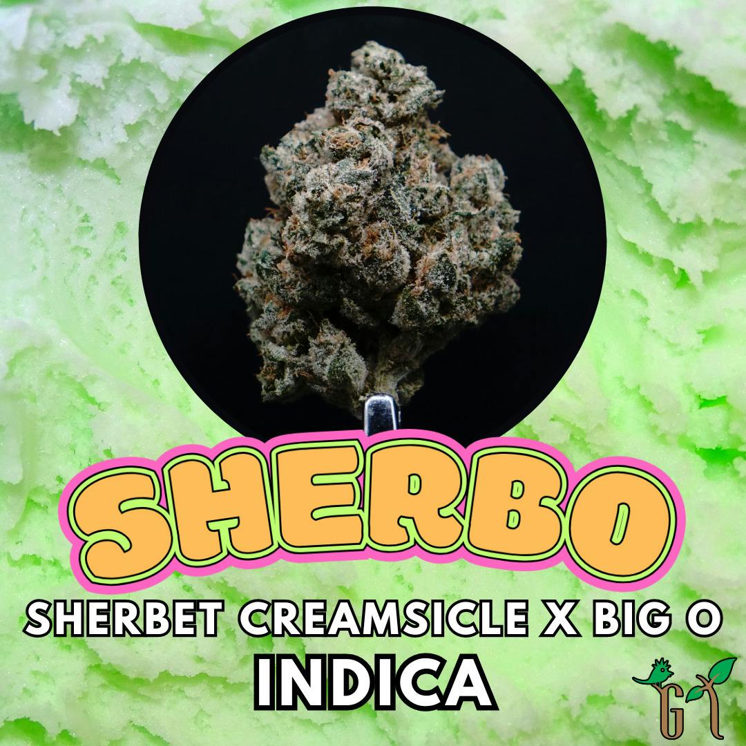Flower - Sherbo - Top Shelf