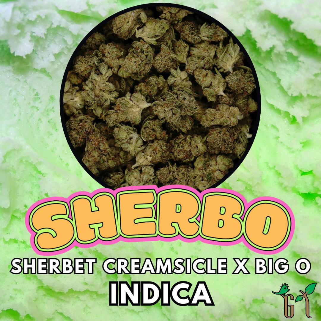 Flower - Treets Flower - Sherbo - Popcorn Shelf cannabis product