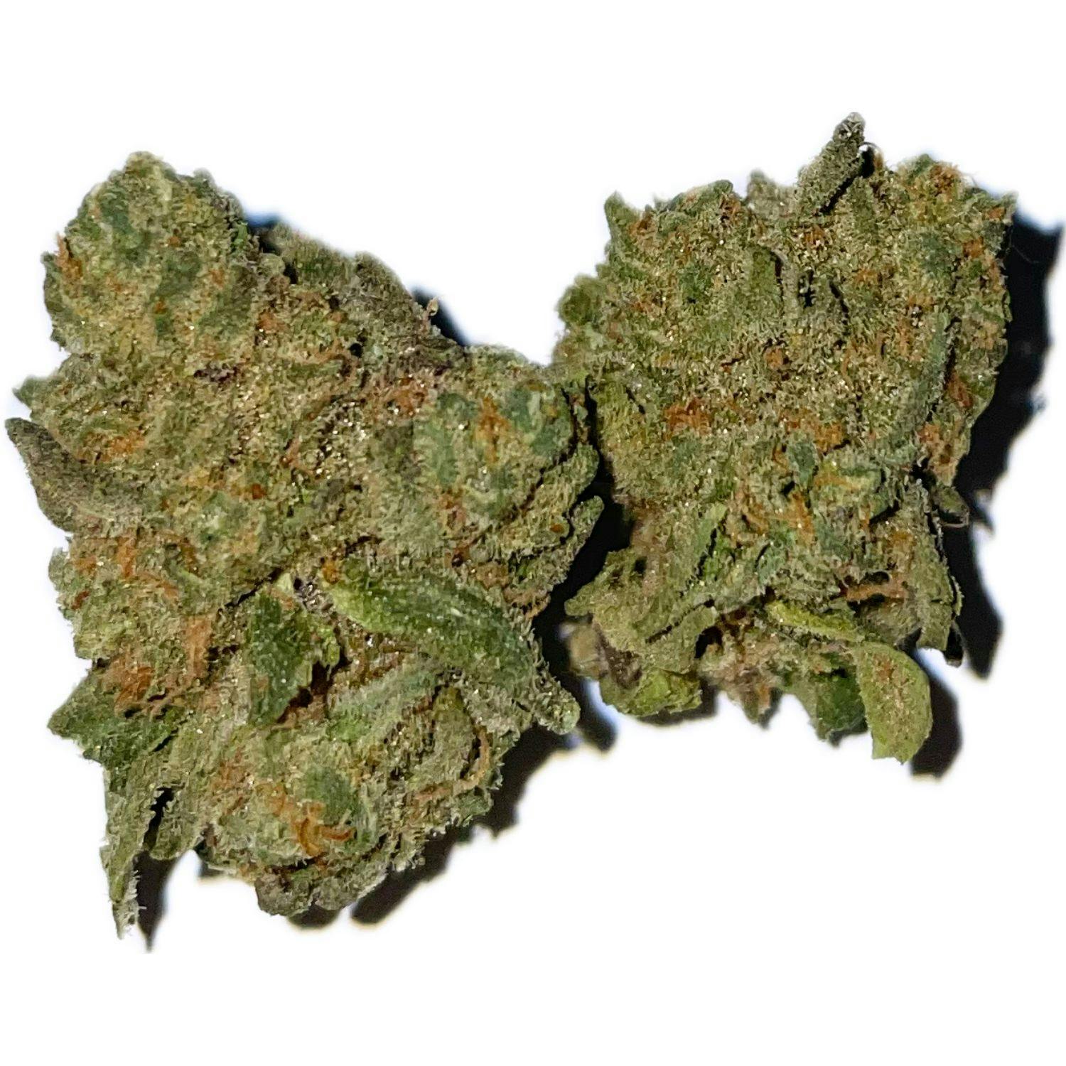 VLSNY | Apple Fritter