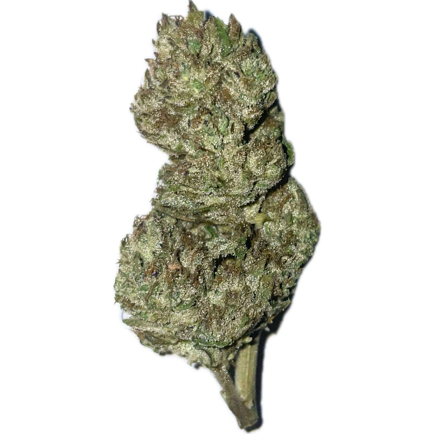 Hurley Grown | Jelly Cakes | 3.5g