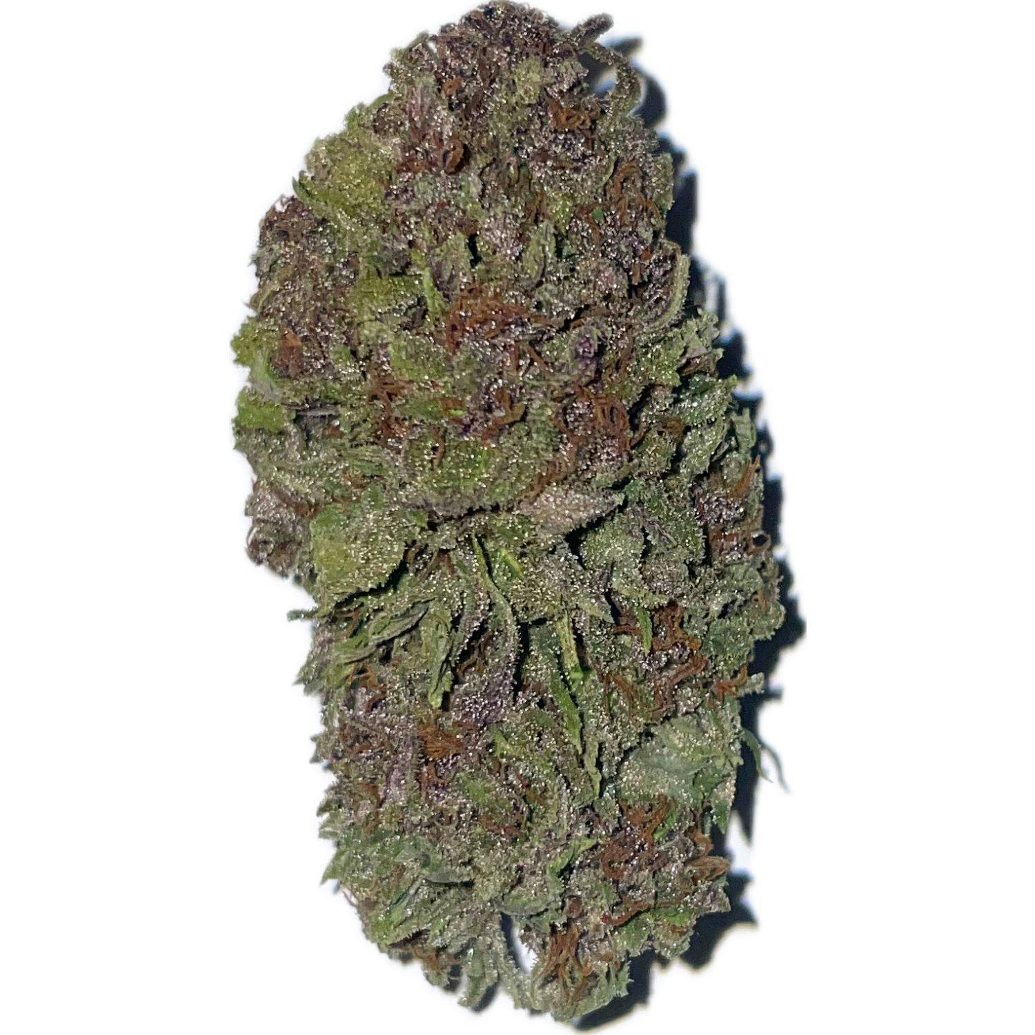 Gelato
