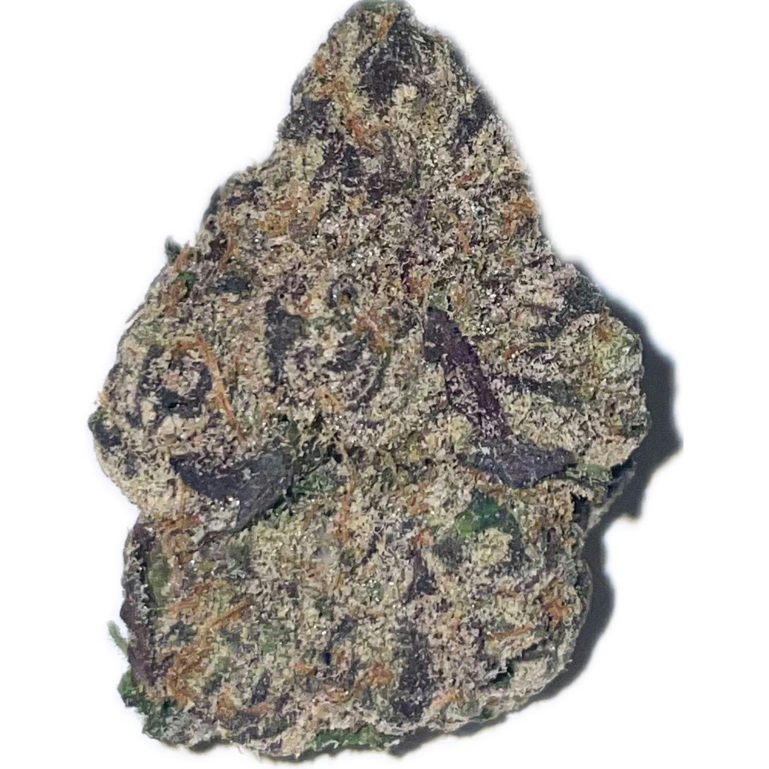 Cromagnoman (Indoor)