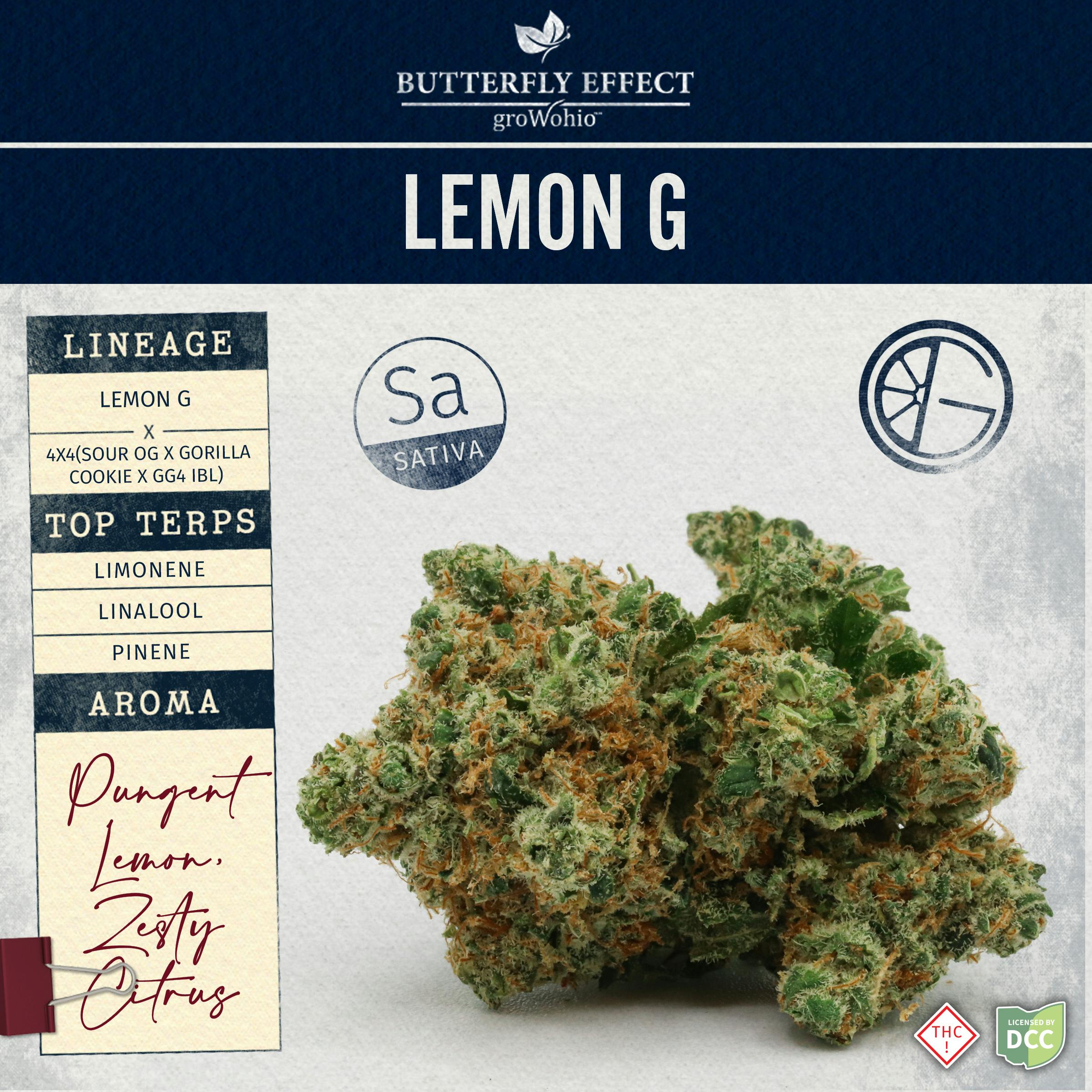 Lemon G | 3.5g | Sativa