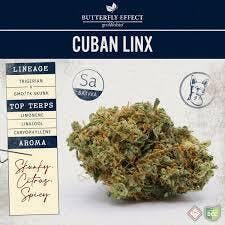GROW OHIO - Cuban Linx Tier 2 Sativa