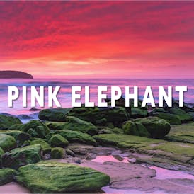 Riviera Creek - Pink Elephant Live Rosin Disposable .5 G