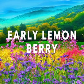 Riviera Creek - Early Lemon Berry Live Rosin Disposable .5 G