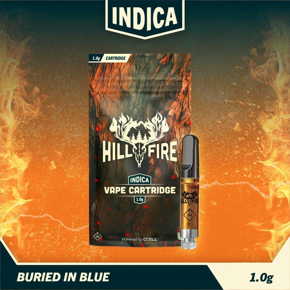 Buried In Blue