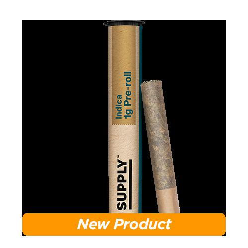 Blue Bath Pre-Roll