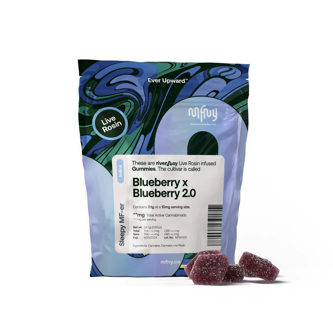 Blueberry x 20