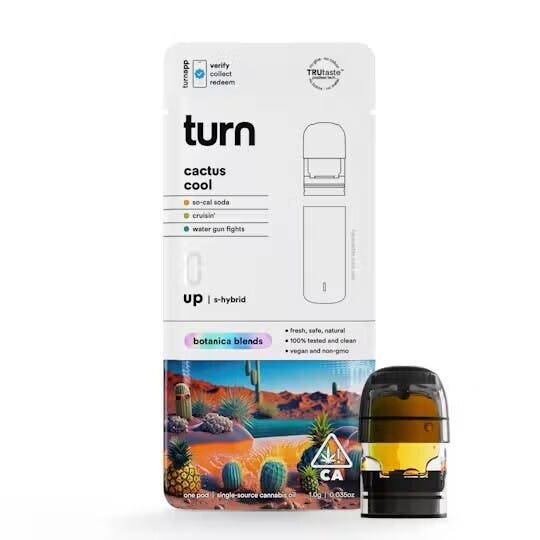 [Turn Up] -: Bb - - - Cactus Cool