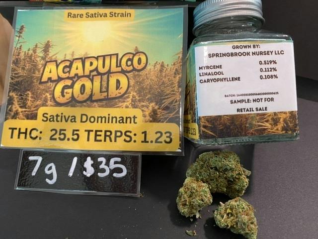 ACAPULCO GOLD 7G - SPRINGBROOK NURSERY