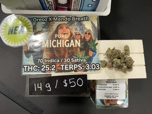 Pure Michigan 14g Unit by Breezy Bear
