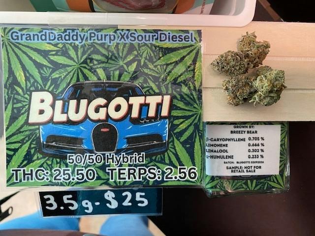 Blugotti 3.5g Flower by Breezy Bear