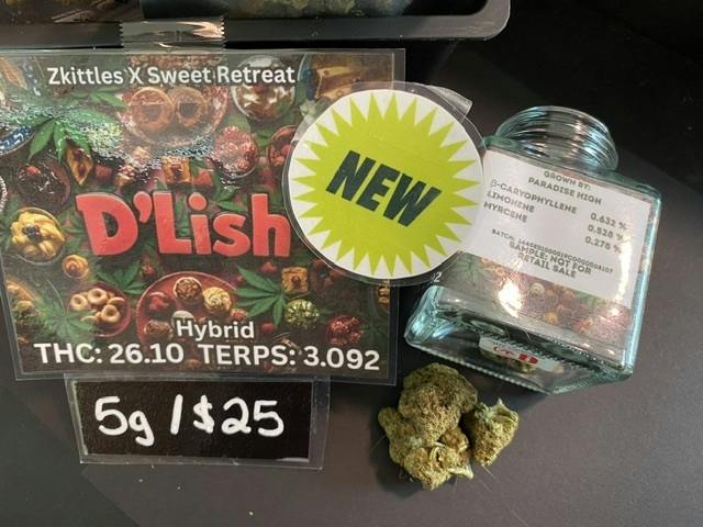 DLISH 5 Grams