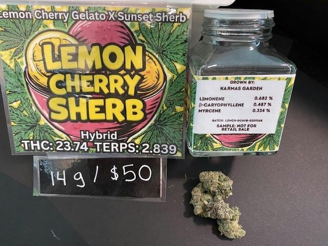 LEMON CHERRY SHERB 14G - KARMAS GARDEN