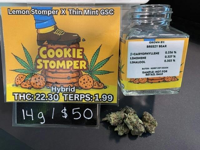 COOKIE STOMPER 14G - BREEZY BEAR(H)
