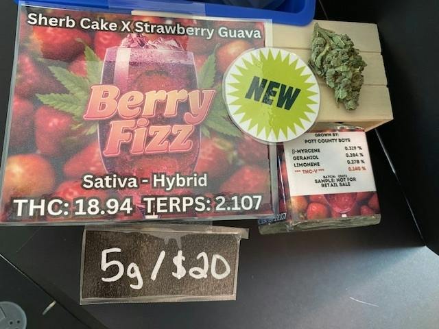 Berry Fizz 5 Grams by Pott County Boys