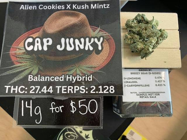 CAP JUNKY 14G - BREEZY BEAR(H)