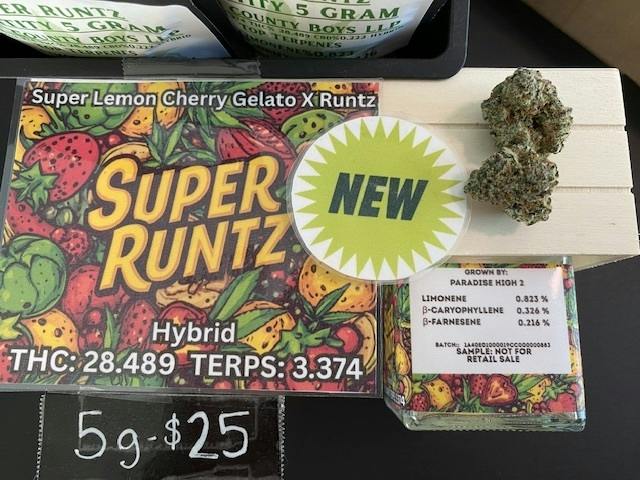 SUPER RUNTZ 5G - PARADISE HIGH(H)