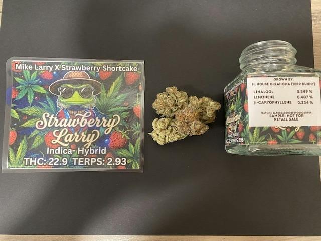 Strawberry Larry Flower | 3.5G Unit | Terp Bunny