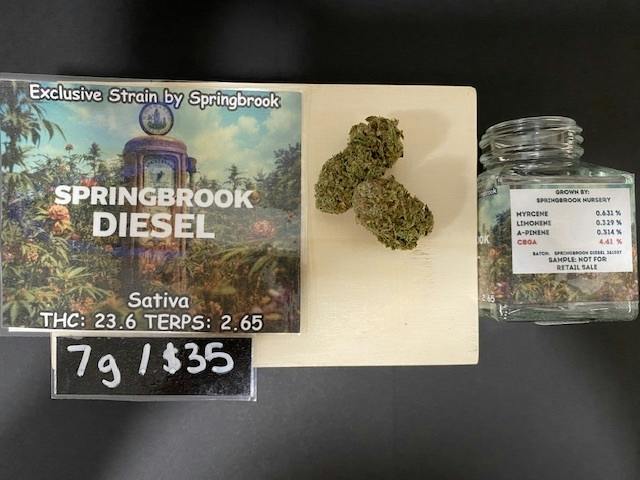 Springbrook Diesel 7g/$35 by Springbrook Nursery