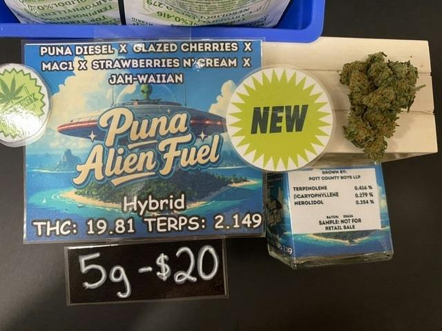 Puna Alien Fuel 5 grams by Pott County Boys $70 oz
