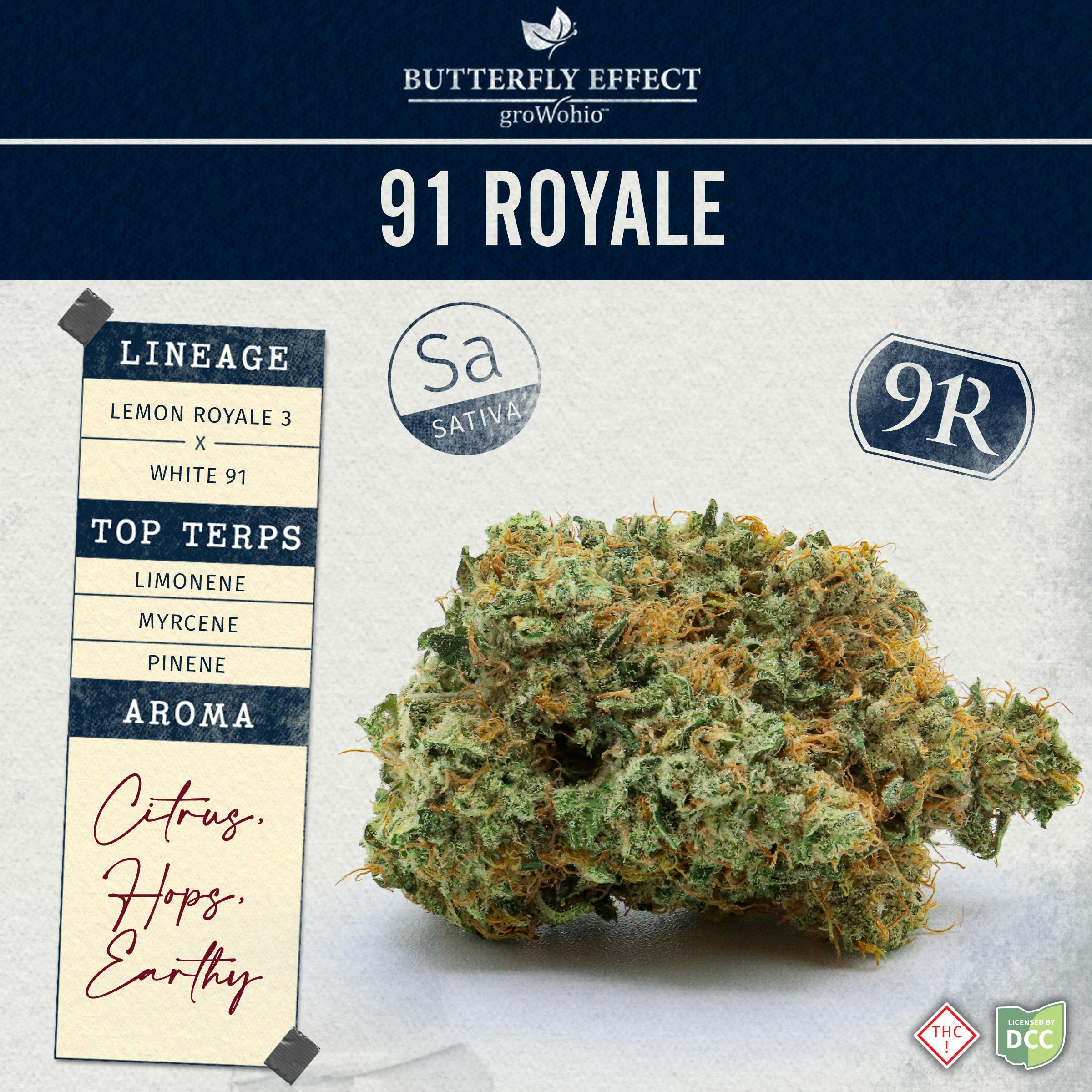 Butterfly Effect - 91R
