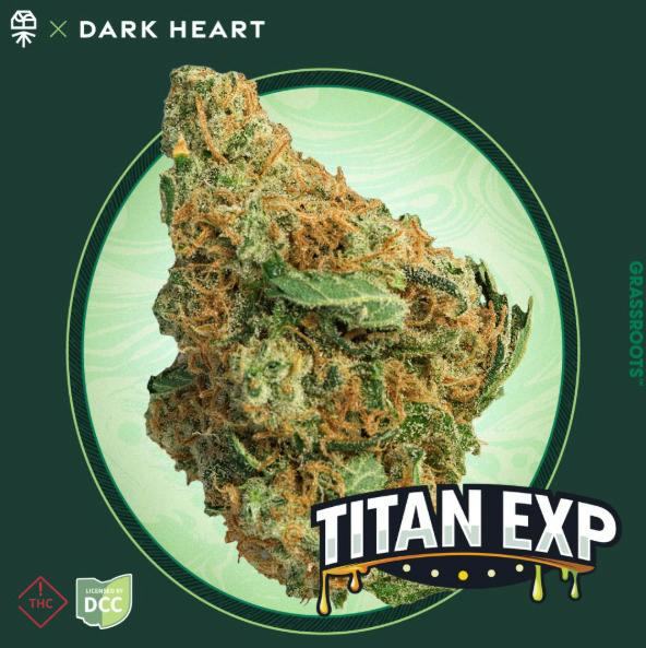 Grassroots - Titan Exp Smalls - 1