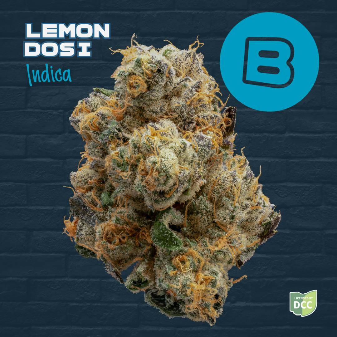 Buckeye Relief - Lemon Dosi