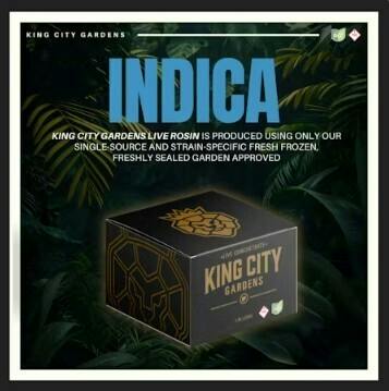 King City Gardens - Garlic Drip Live Rosin - 1g