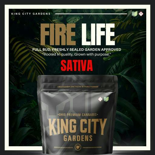 King City Gardens - Fire Life