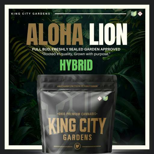 King City Gardens - Aloha Lion