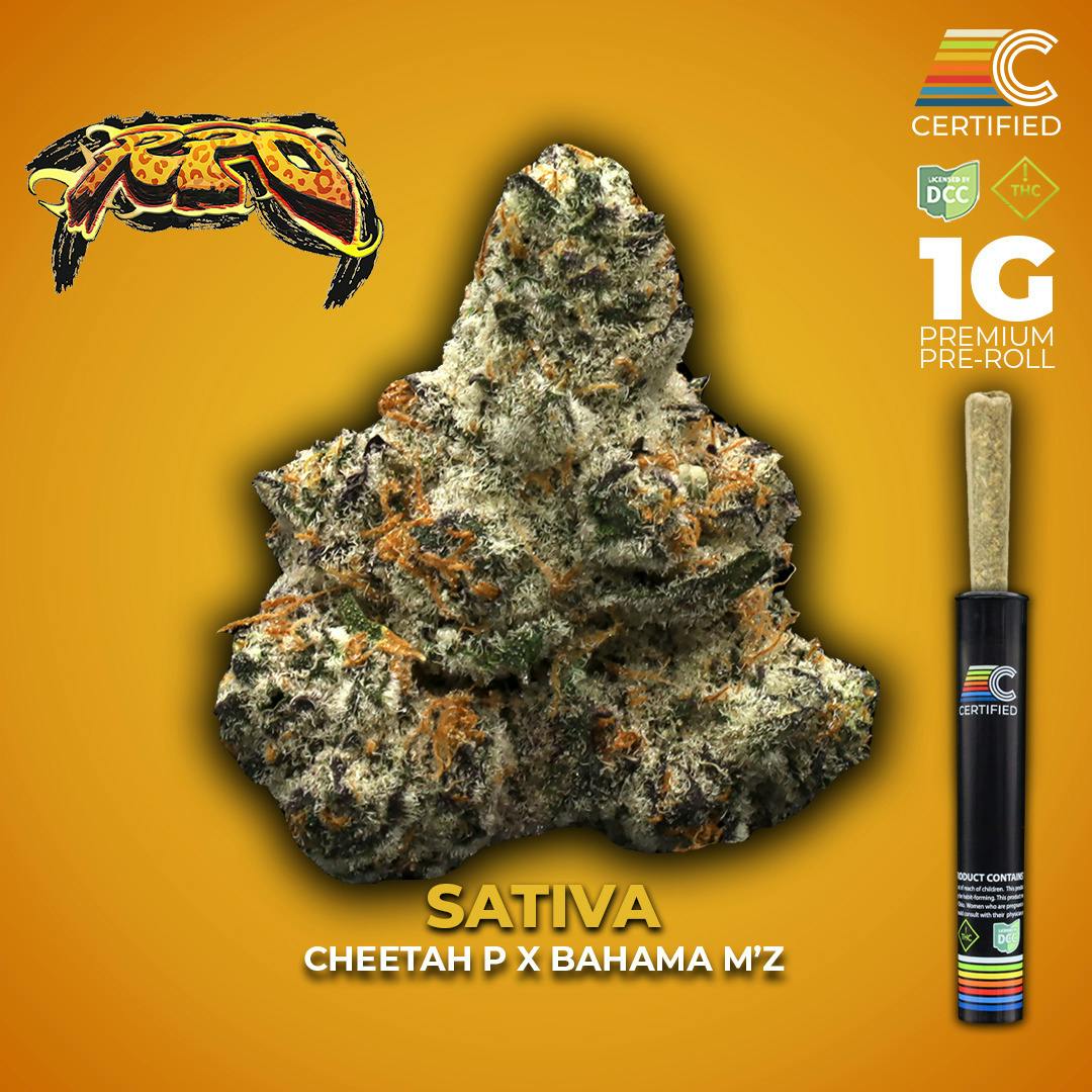 Certified Cultivators - RPO SSU Flower Pre-Roll