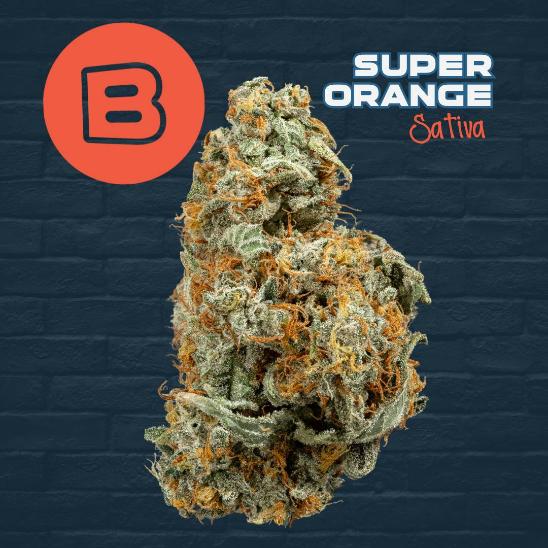 Buckeye Relief - Super Orange
