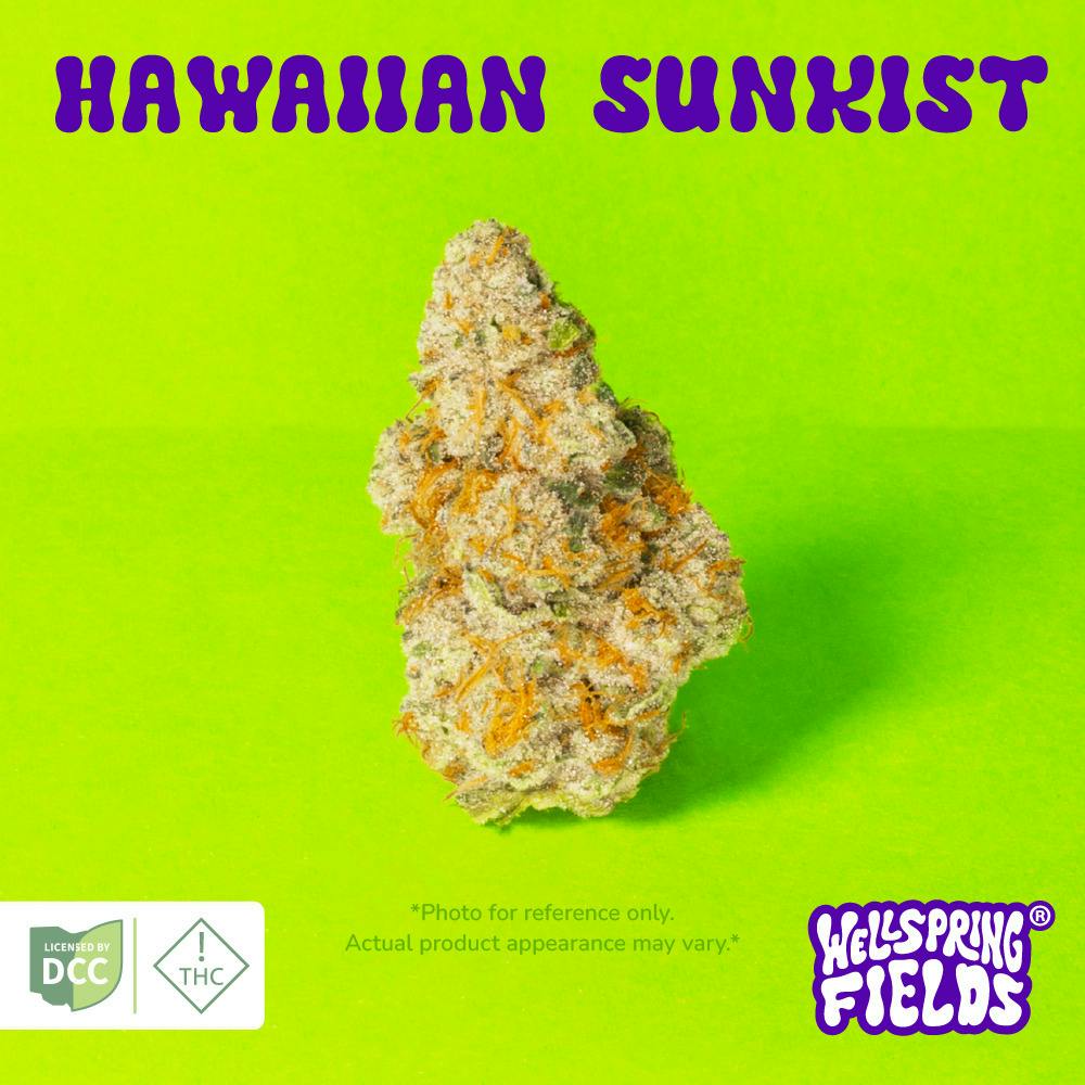 Wellspring Fields - Hawaiian Sunkist