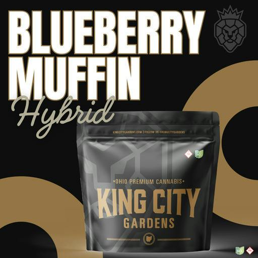 King City Gardens - Blueberry Muffin
