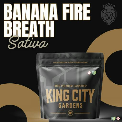 King City Gardens - Banana Fire Breath