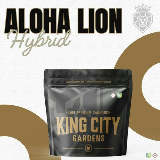 King City Gardens - Aloha Lion Smalls at UpLift