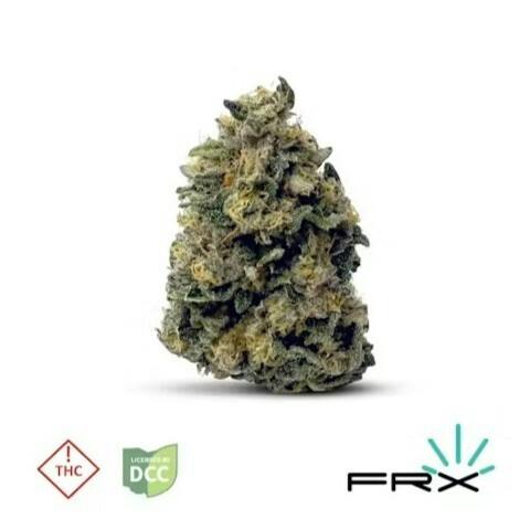 Farmaceutical RX - Animal Face Mini