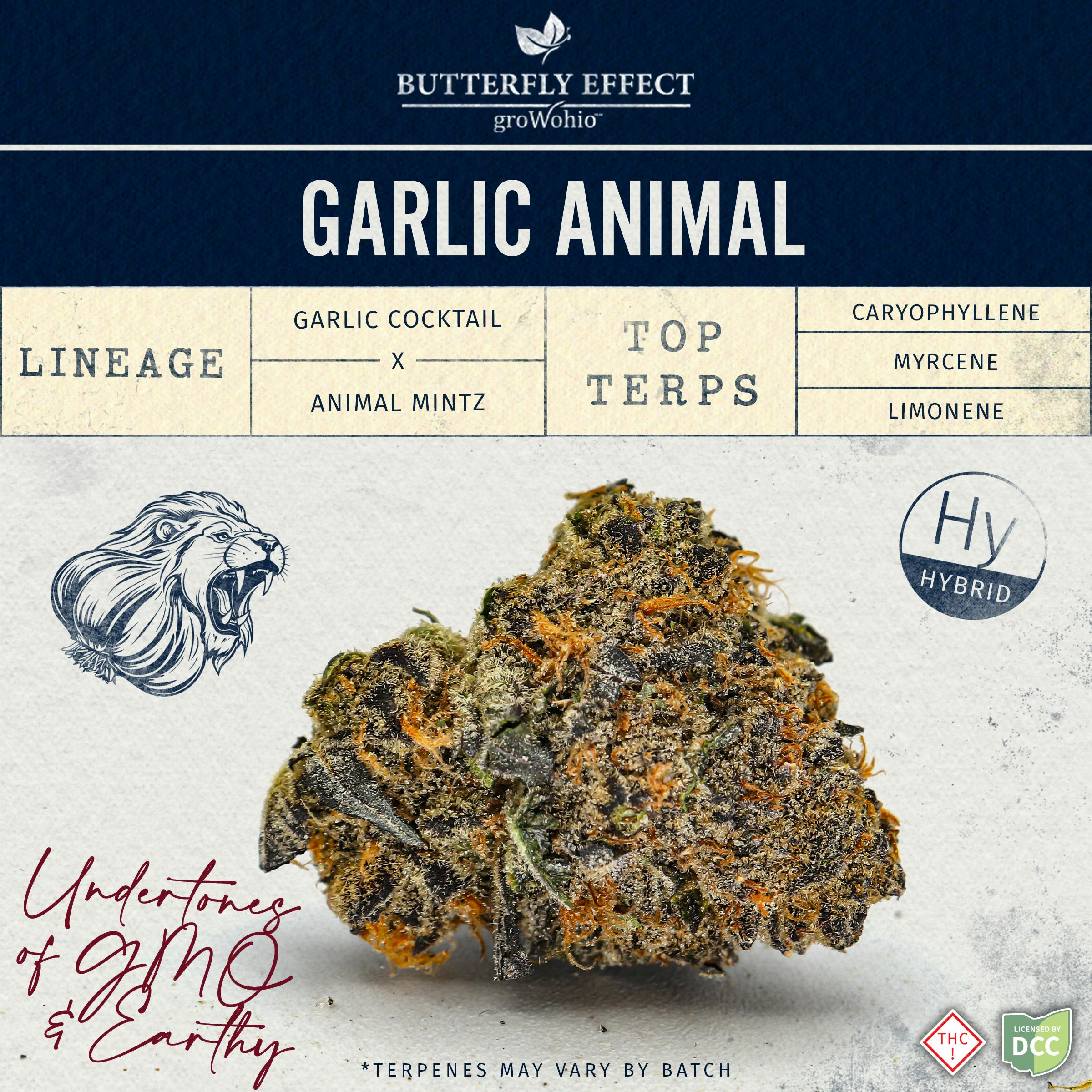 Butterfly Effect - G Animal